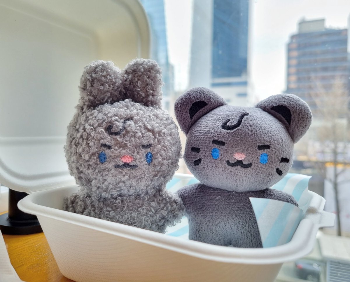 Nathanwdoll's tweet photo. 🐰🐯 https://t.co/Vsb8fqF45G