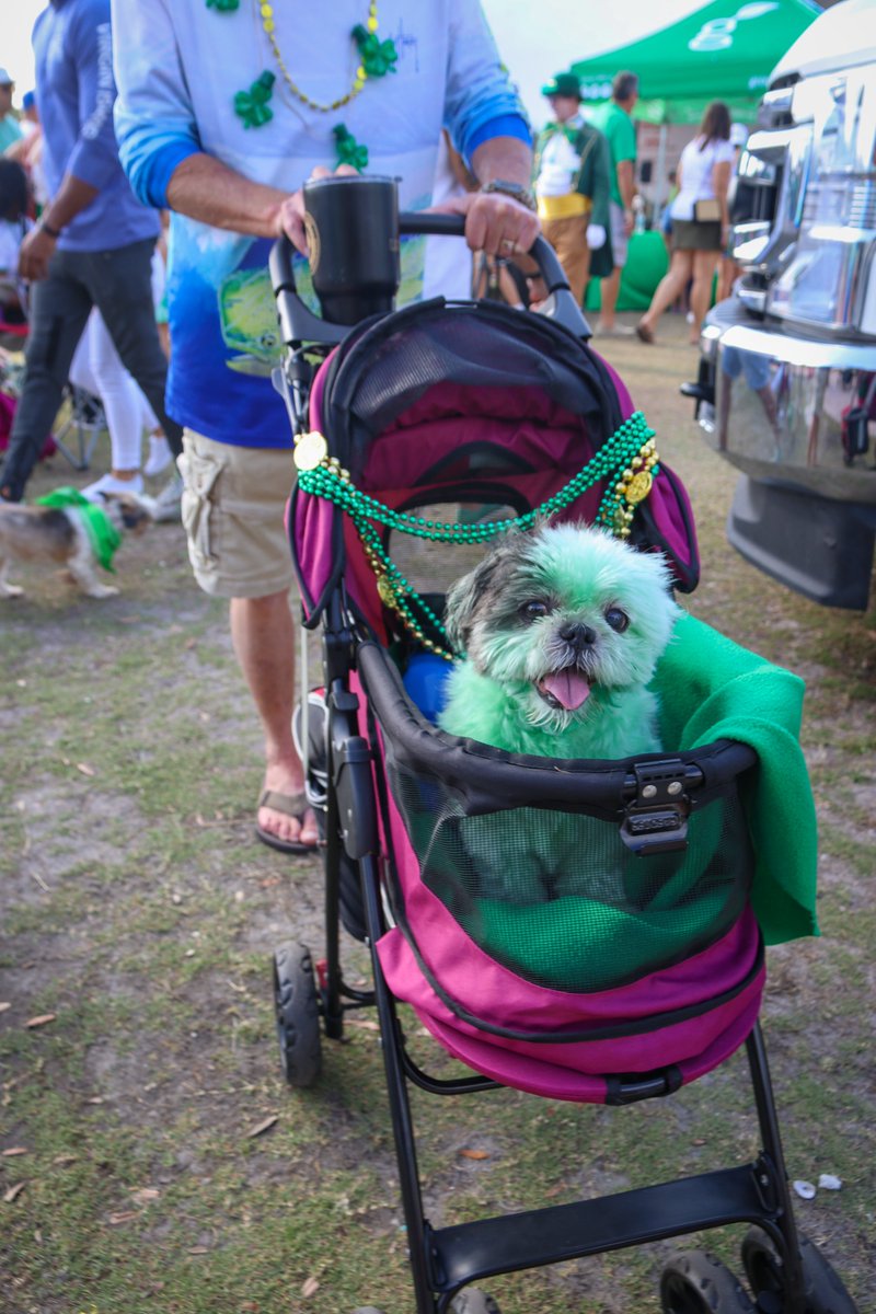 CityofTampa's tweet photo. See more #RiverOGreen photos on our Facebook page: https://t.co/gvbQlayZWf https://t.co/0BQP07fxEz