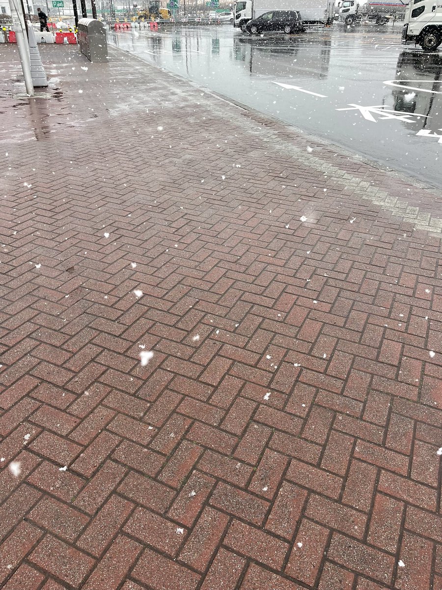 uji004's tweet photo. 大雪。 https://t.co/r5lqQLmn72