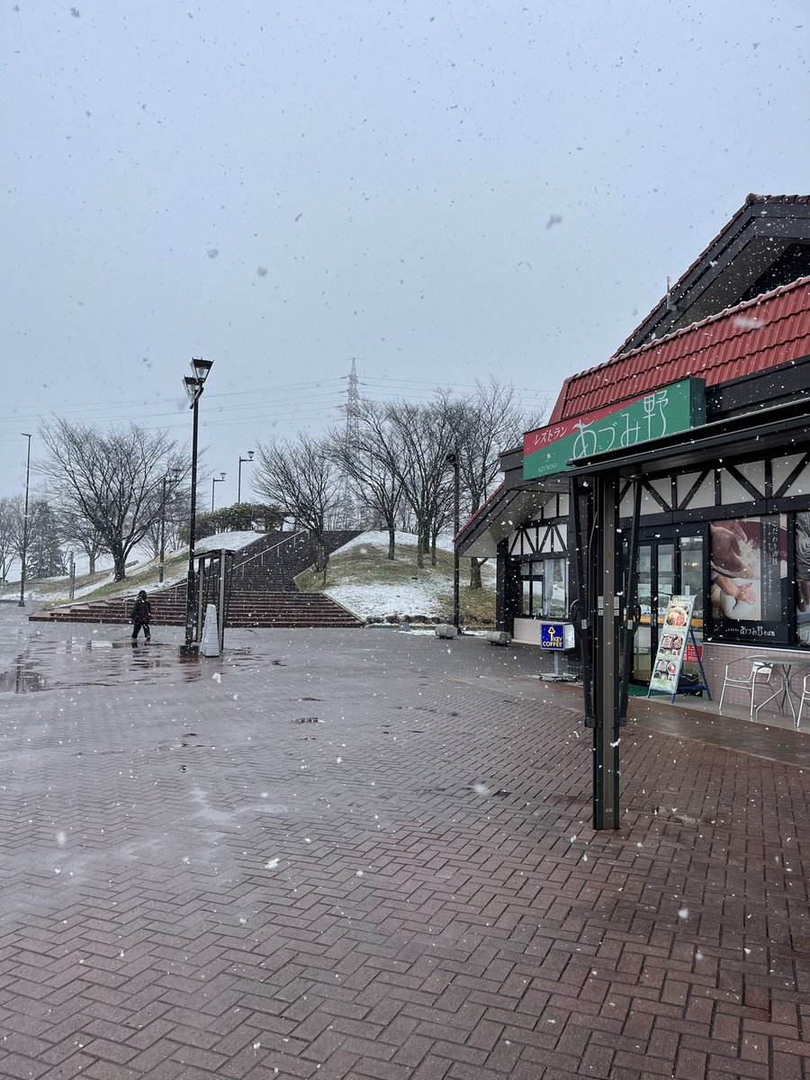 uji004's tweet photo. 大雪。 https://t.co/r5lqQLmn72