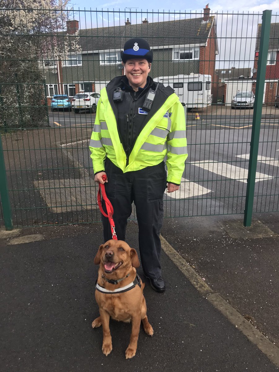 Colebrookinf's tweet photo. A beautiful spring morning this morning. Mavis thought it was about time she checked out the onions growing in the veg beds, then she did a meet-&amp;-greet at the school gates and bumped into our lovely PCSO Rachel   🌸 🧅 🐕  👮@bluekitetrust https://t.co/koLDxCnFZr