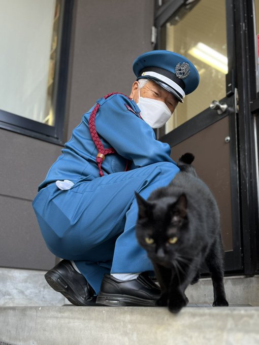 清水桐子 オーバル皿 猫 食器 | endageism.com