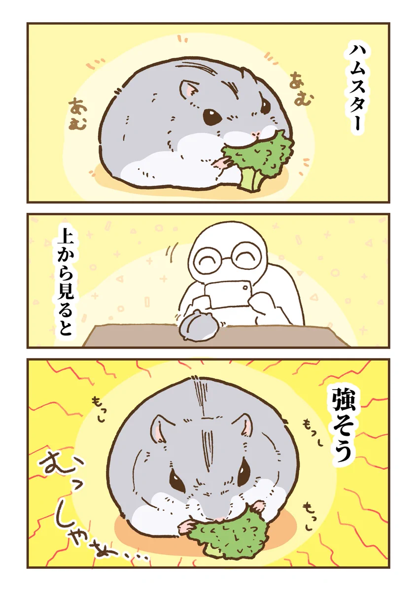 ハムスターは見る角度によって姿に違いがある？！可愛すぎる漫画が話題に！