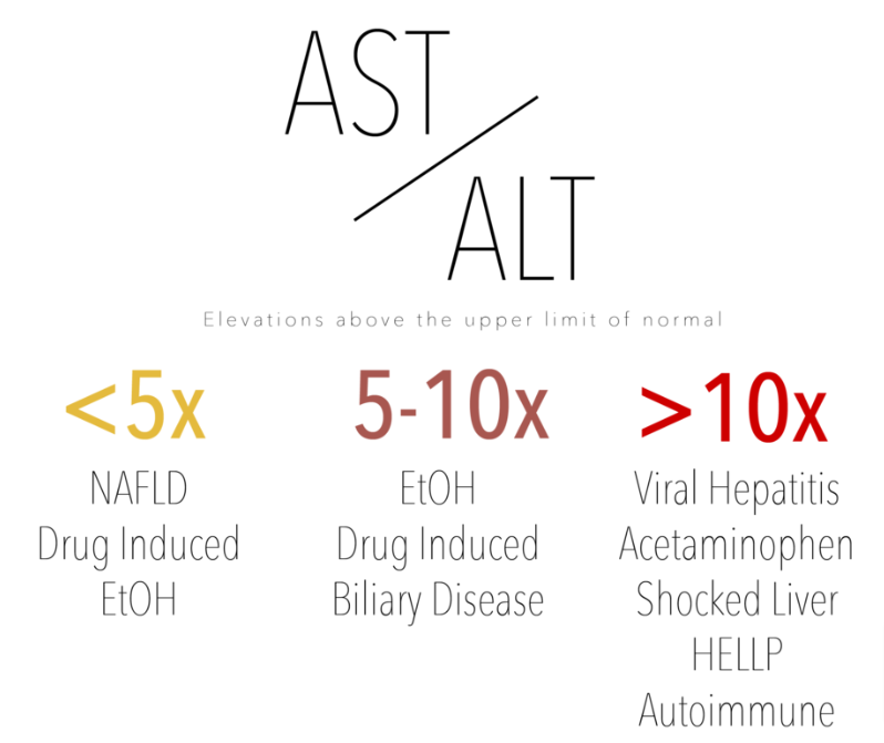 1/52 "There is a child being shifted from a hospital abroad," my ER doc