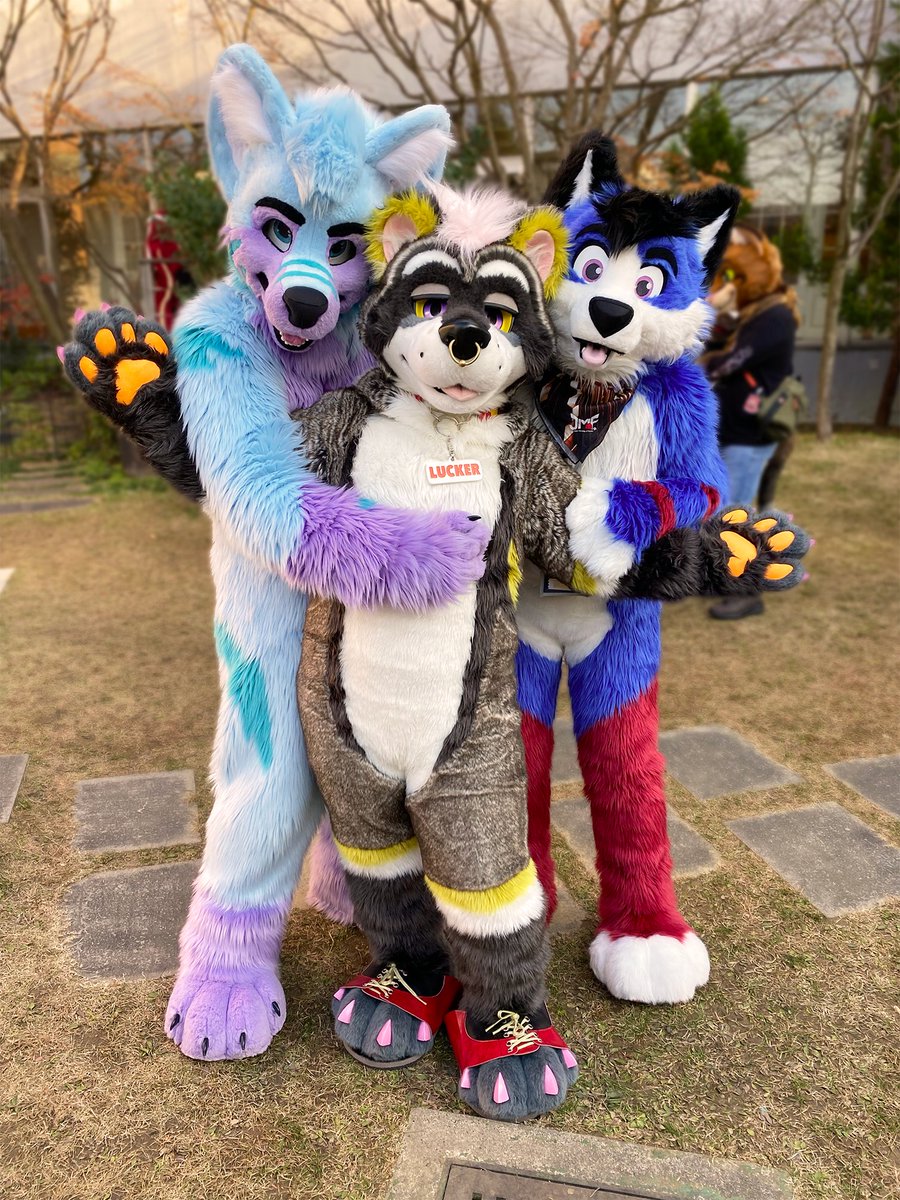 Friends I often meet at JMoF🐺❤️🦝❤️🐺
I like them<3