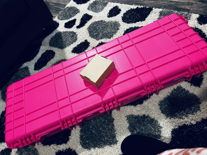 My new AR case is ✨fucking beautiful✨ https://t.co/ByQRuYz1eN