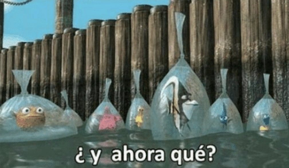 Hoy oficialmente me gradué y estoy cómo: