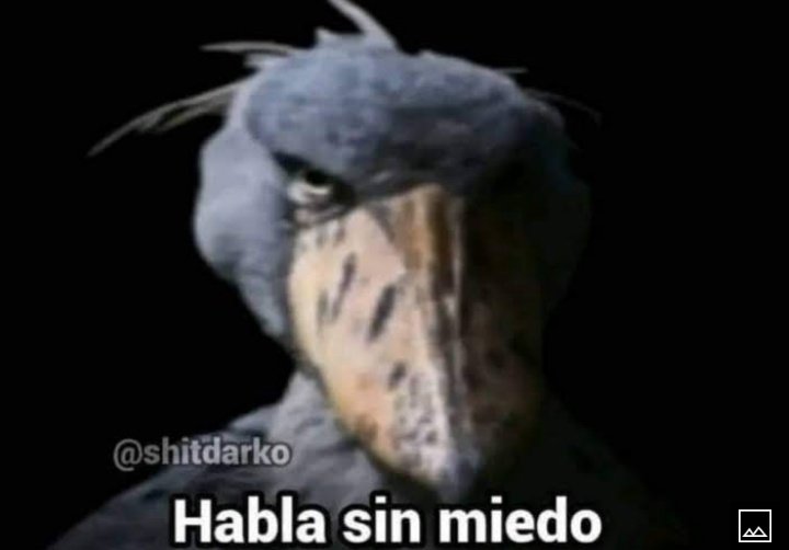 Miralafotodemigato tweet media