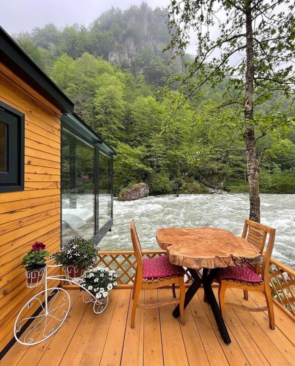 صباح نقي ممزوجا بالأمل والنسمات البارده يتخللها ضوء الصباح ليعلن لنا بقدوم يوم جميل يحمل في طياته بشائر الخير