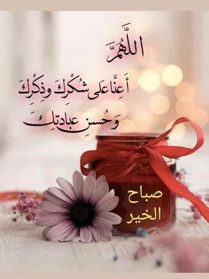 Mohamed Ale (@mohamed64769823) on Twitter photo 