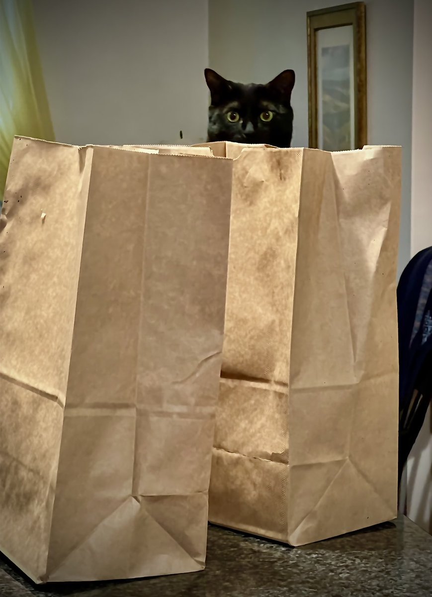 Where are my snacks???