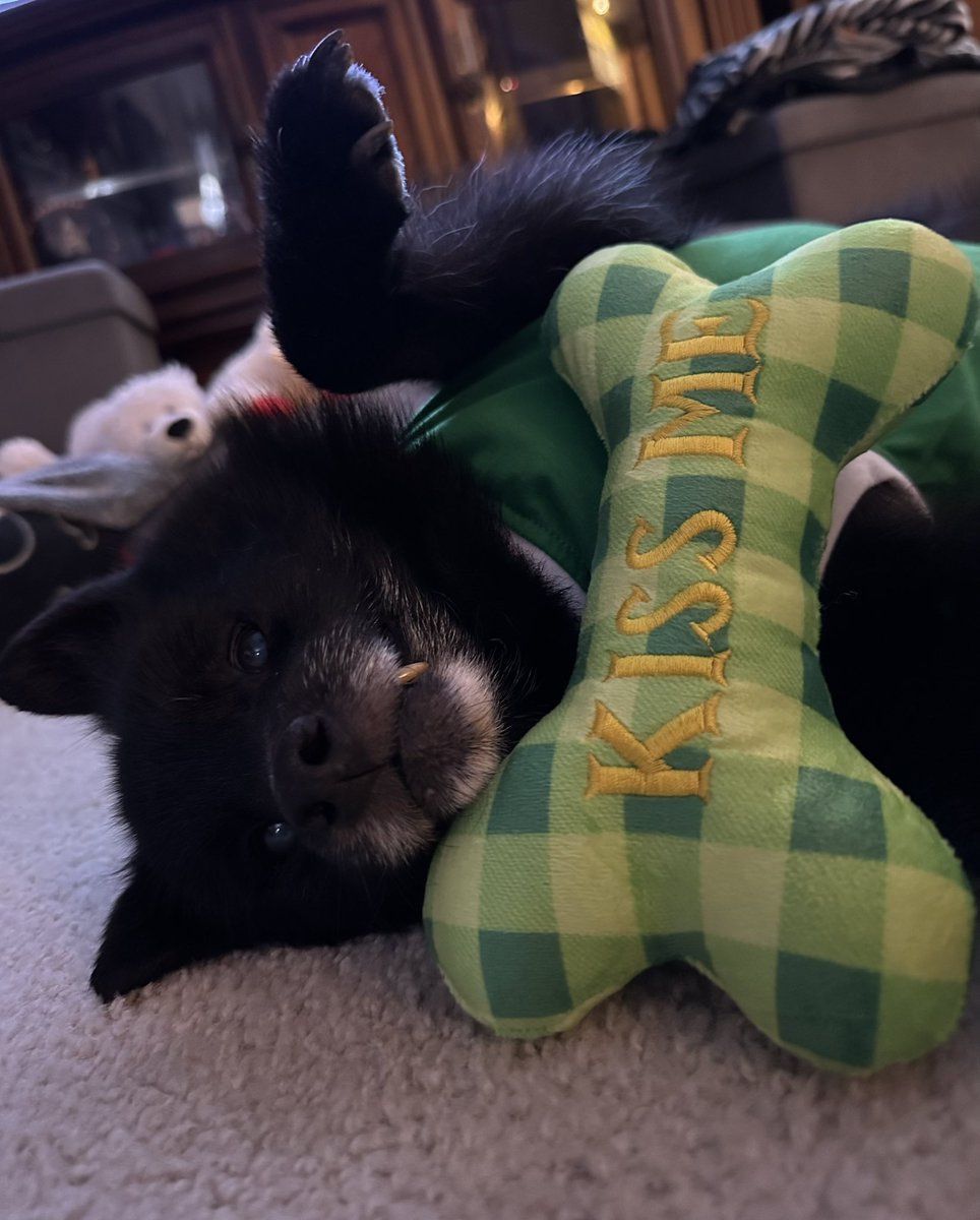 Sullysluv's tweet photo. Happy St.  Patrick’s Day ☘️ https://t.co/RBuITWM2Af