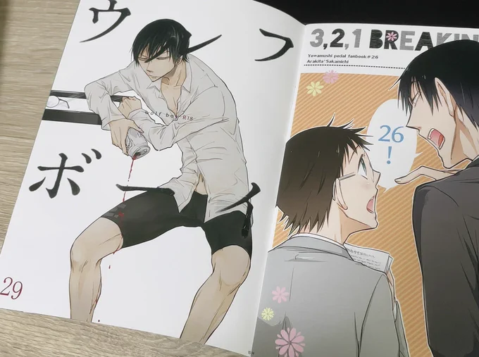 イラスト本、謎の番号振ってあって何…?って一瞬思ったけどこれ何冊目に出した本かってことだ。いいじゃんこれ!(多分自分用に入れてるじゃん) 