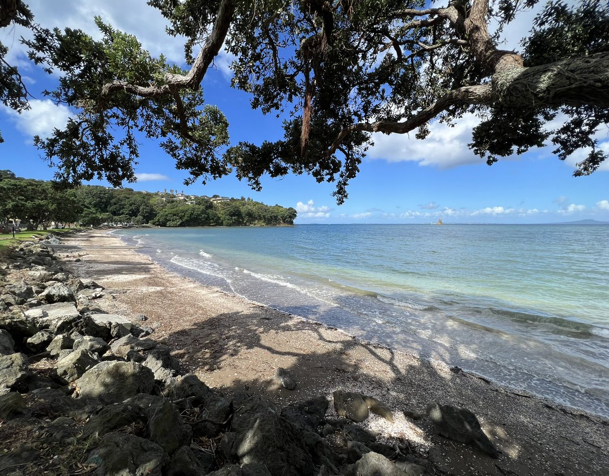 followspen's tweet photo. #saturdaybelike #NewZealand #appreciatingnature #views 👌😎🇳🇿❤️ https://t.co/mivv7vackH