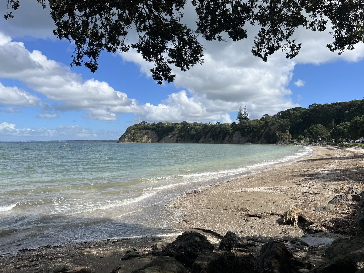 followspen's tweet photo. #saturdaybelike #NewZealand #appreciatingnature #views 👌😎🇳🇿❤️ https://t.co/mivv7vackH