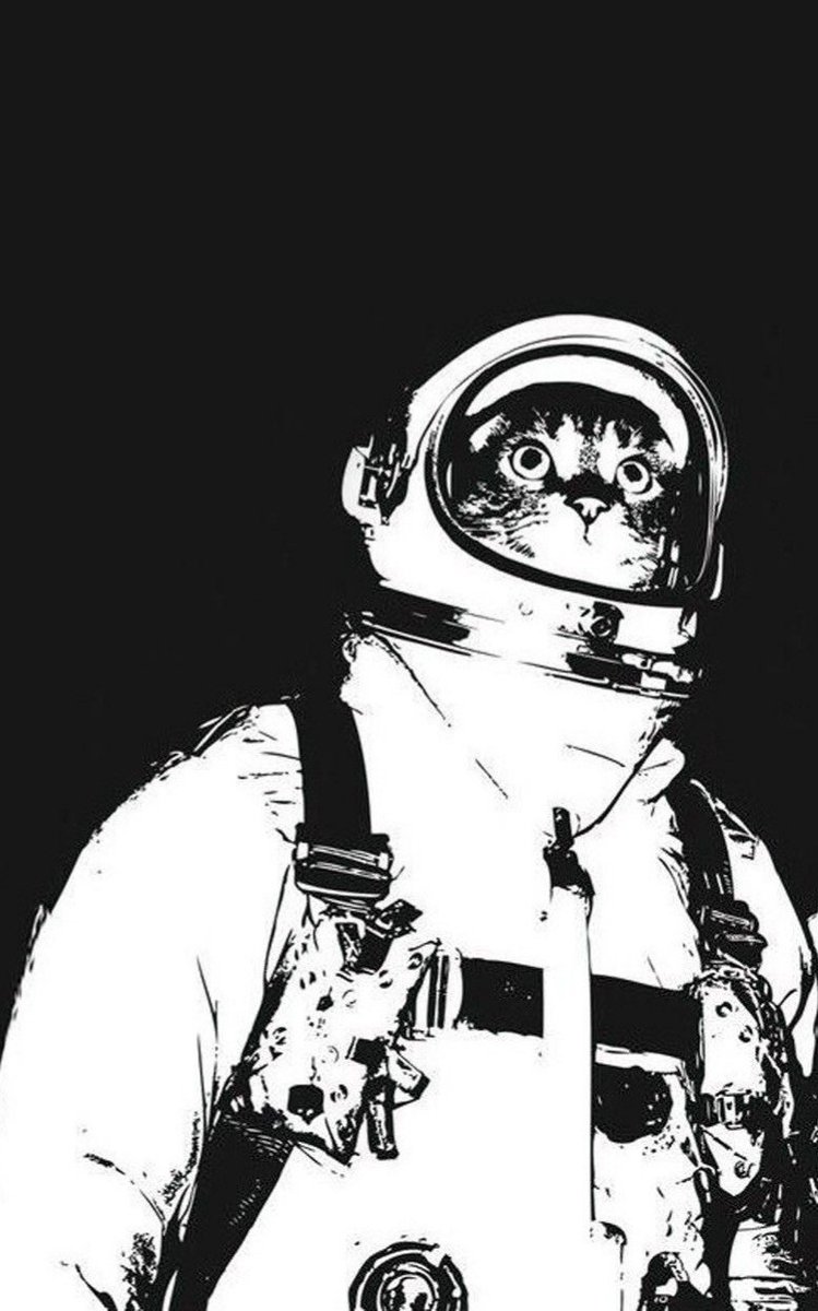 GMETHEFRANK 🏴‍☠️🫡 tweet media