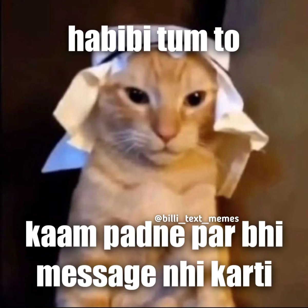 🥹

#cat #catmeme #catmemes #catmemedaily #dailymeme #dailymemes #memes #meme #memedailys #memesdaily #crushmemes #crush #flirt #flirting #cutecat #cutecats #indianmemes #indianmeme #hindi #hindimemes #hindimeme #billi_text_memes