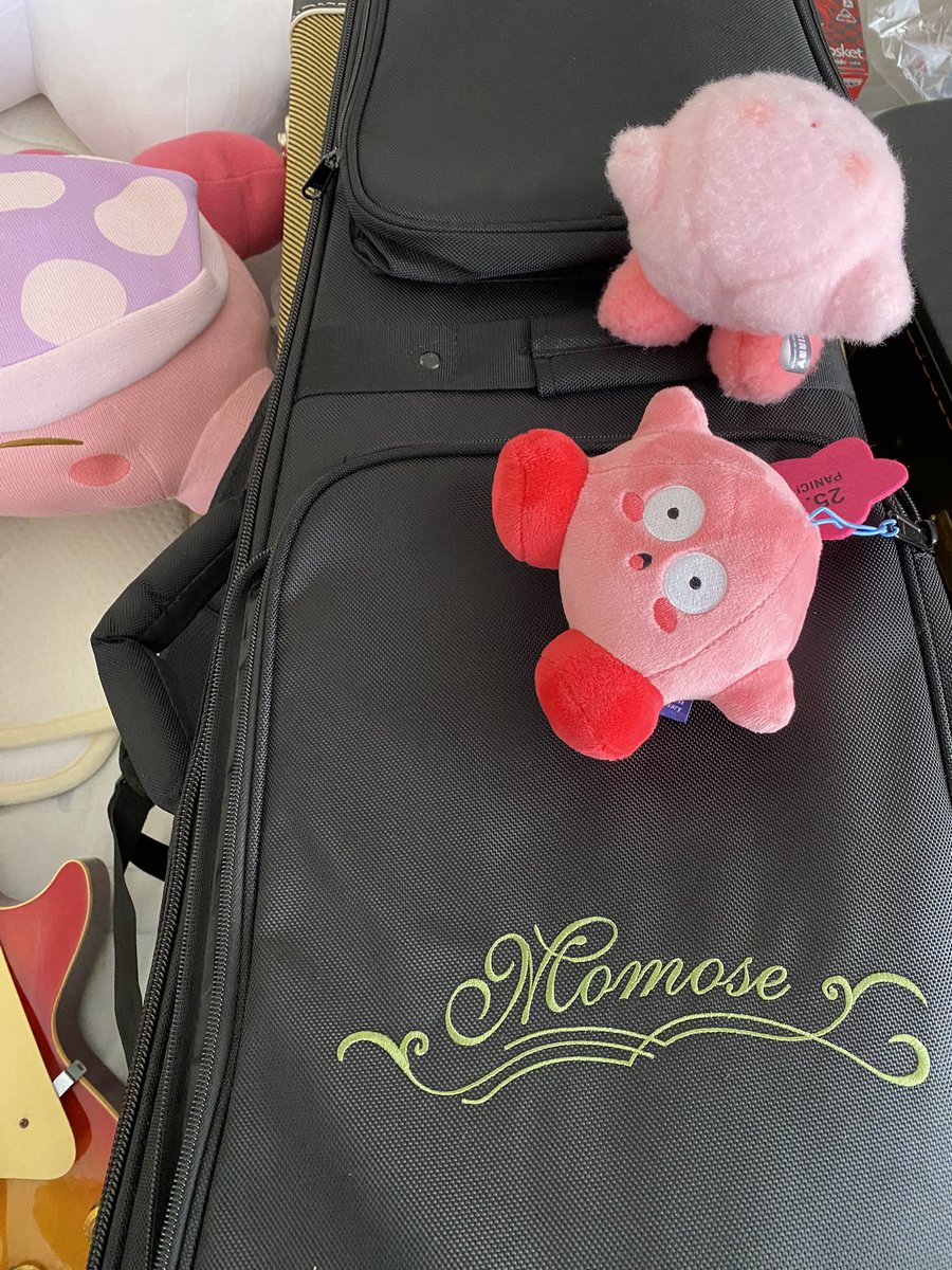 セポケㄘゃƕ🍄 tweet media