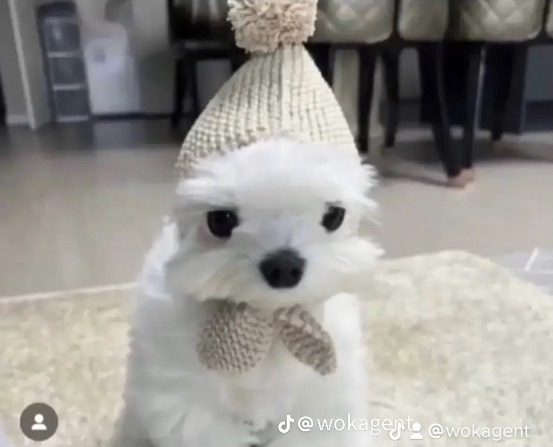 Mega_Chocolates's tweet image. HOZIER DID A SURPRISE PERFORMANCE IN A BAR LITERAL BLOCKS AWAY FROM MY APT TONIGHT AND I MISSED IT. MY LORD AND SAVIOR HOZIER WAS THAT CLOSE TO ME AND I MISSED IT😭😭😭