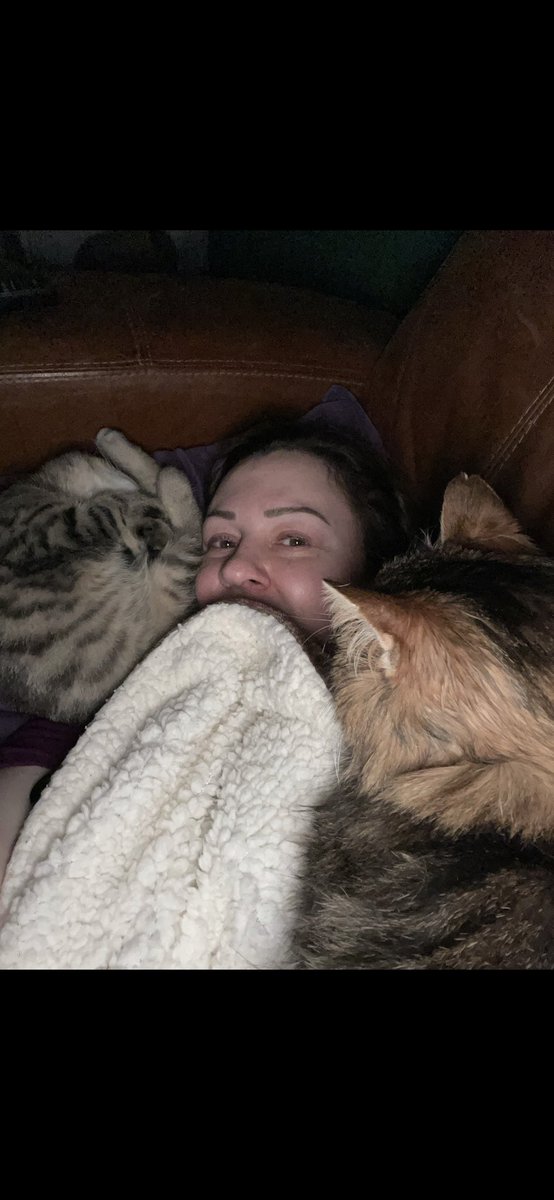 Cat75The's tweet photo. Cat cuddles are the best, although kinda hoping that Angus, the dude on the left, doesn’t fart!
❤️🐱❤️😷❤️🤮❤️ https://t.co/1Hzh36SrtC