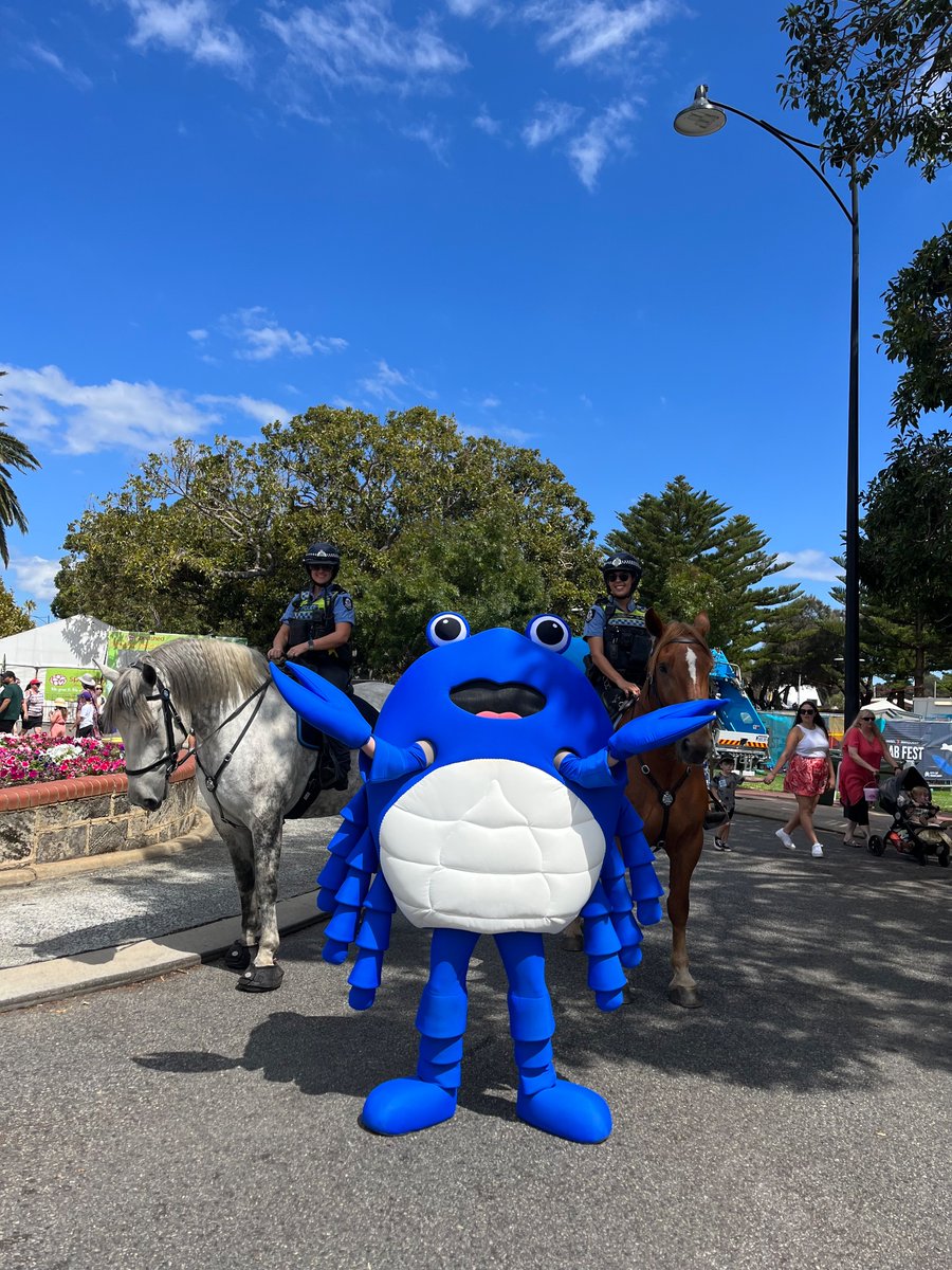 WA Police Force Mounted tweet media