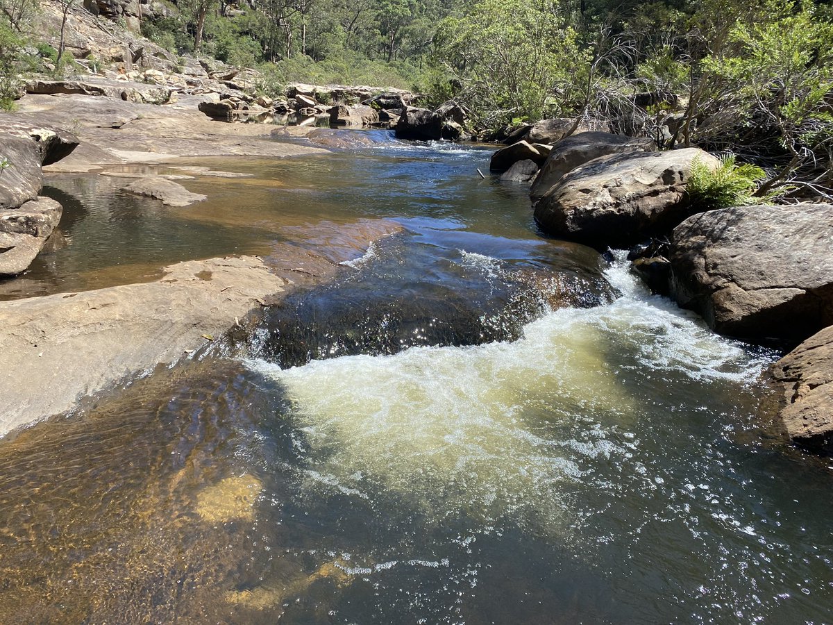 nudeyman's tweet photo. Hot Autumn day here in the mountains, about 39C they are saying, just had to hit the creek to cool off for awhile 👌#skinnydipping #nudenotrude #wildswimming #wildswimmingaustralia #itsonlyabum #australia #hiking #bushwalking #bluemountains https://t.co/luzEduvBIM