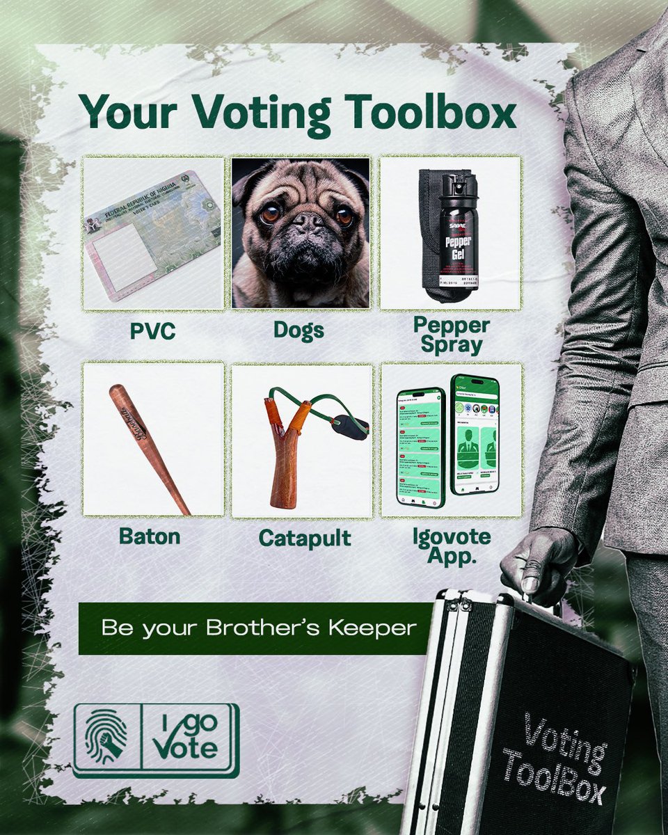 igovote_org's tweet photo. @realdanielemeka @Morris_Monye Add Igovote to your toolbox

Download here: https://t.co/hSIsN5lTJw https://t.co/6JH3C2GAPd