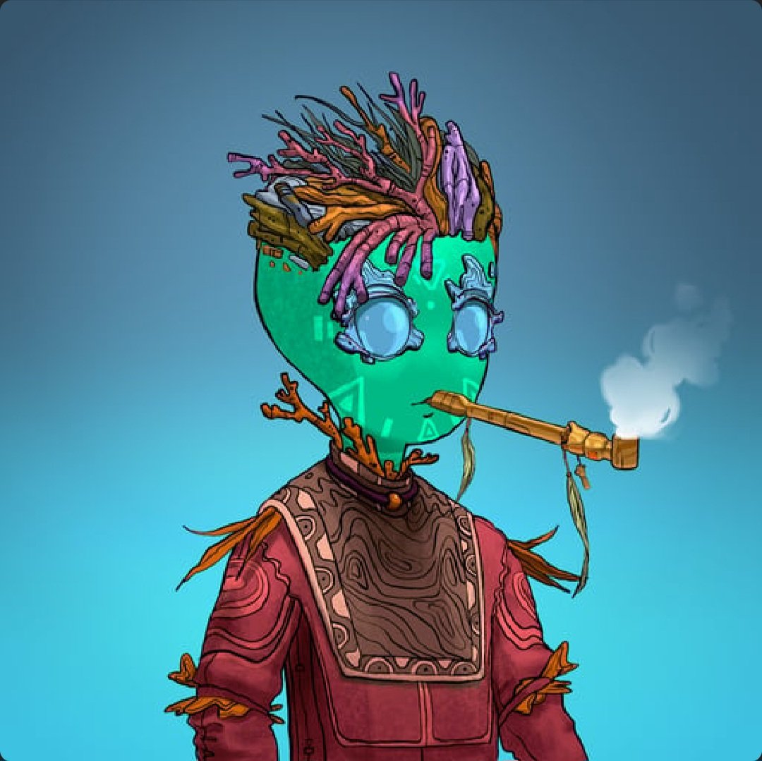 Tdk9989 Coral {Tribe} tweet media