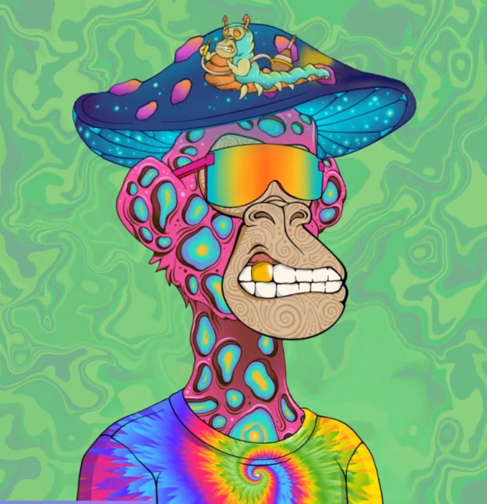 Tdk9989 Coral {Tribe} tweet media