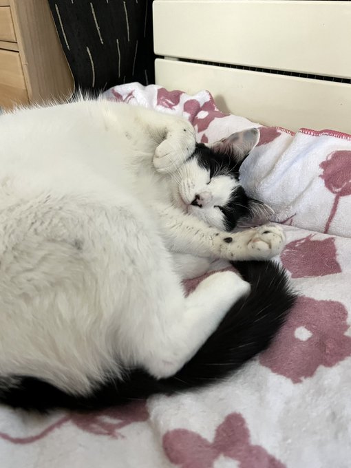 今日寒い 