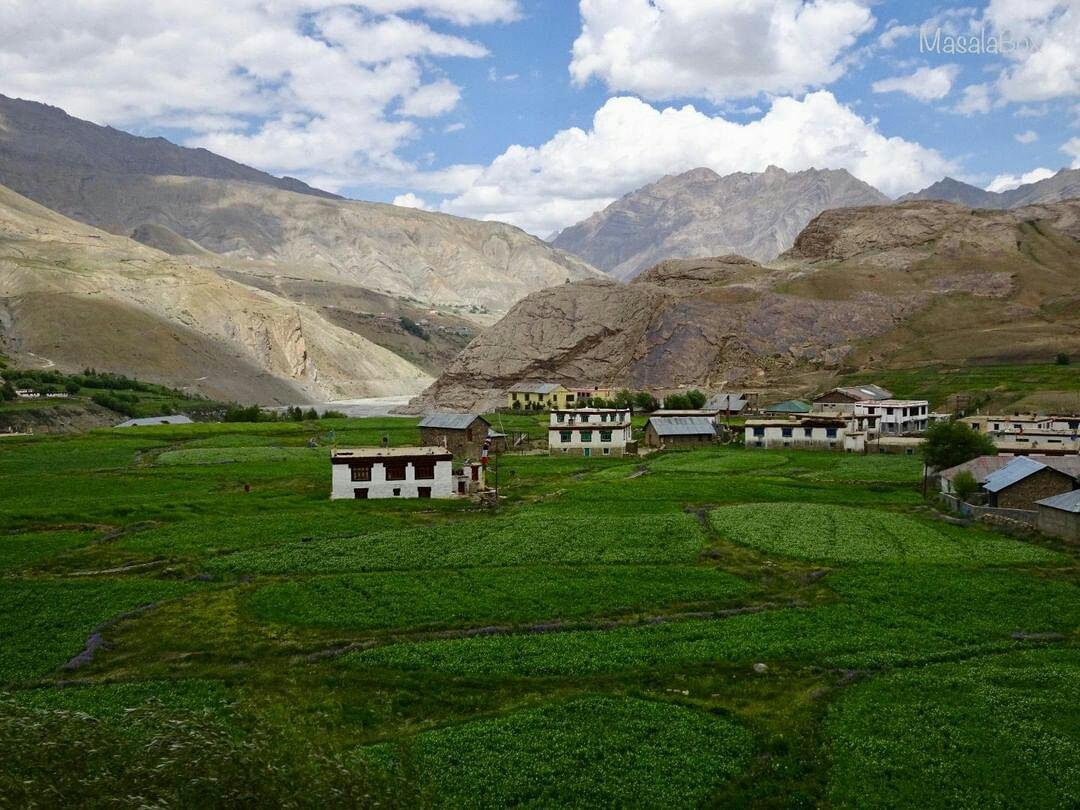 himachalplans's tweet photo. Pin Valley National Park is the only National Park in Himachal Pradesh which is situated in the cold desert area. Pin Valley National Park is a massive assemblage of nature and wildlife thriving at their best.
#pinvalley #Himachal #NatureBeauty
https://t.co/xTxcW3eu2I https://t.co/L7FM3nDCyi