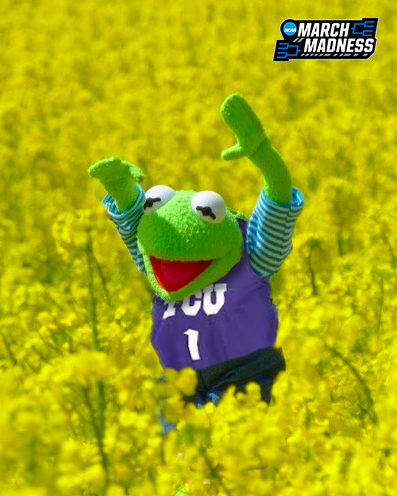 NCAA March Madness tweet media