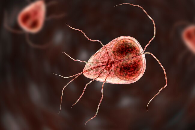 WebMD's tweet photo. If you’ve ever been camping, and you came down with diarrhea, gas, cramps, bloating, and nausea, you’ve likely caught giardia. You get it through food or drinking water, or from contact with the feces of an infected person or animal. https://t.co/u6Iy0dUpdV https://t.co/9BzKmviYTw
