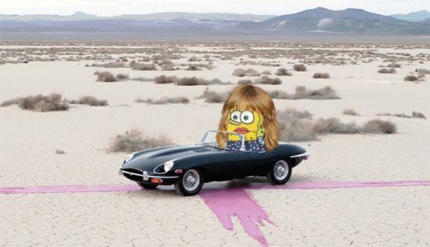 swiftie struggle tweets tweet media