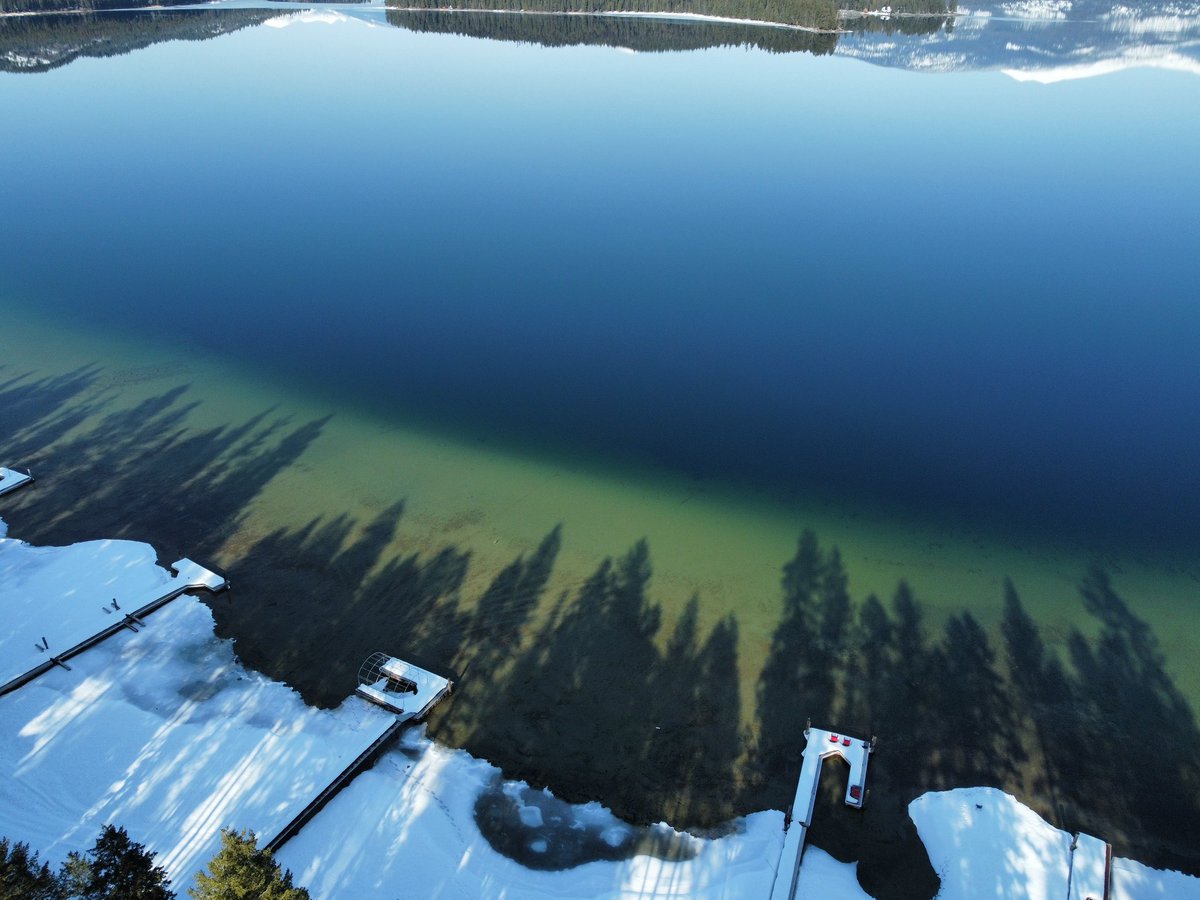 Pecky Cox (@peckycox) on Twitter photo 