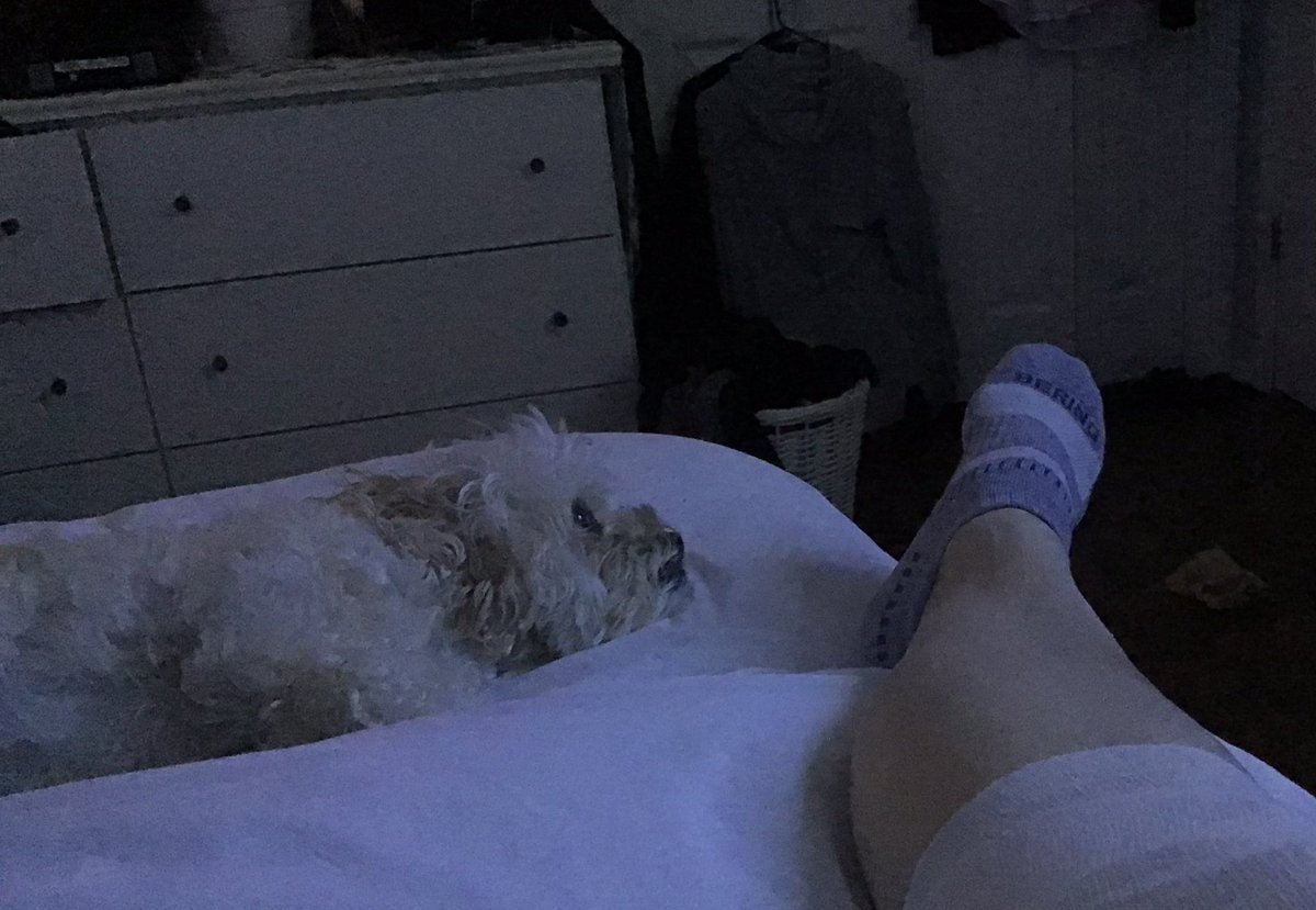 JFracci's tweet photo. Zoe knows if I say the words “K9 is comin!” there will be a dog on the TV. She can be sleeping like a rock. But if she hears it..she jumps up &amp; barks like a nut! 🤣🤣🤣 Zoe luvs her  weekend #OPLive #oplivenation !! #BackTheBlue #BarkTheBlue 💙💙🐶 Just like @Max_n_Ruby ! https://t.co/Nr2PvjkgmV