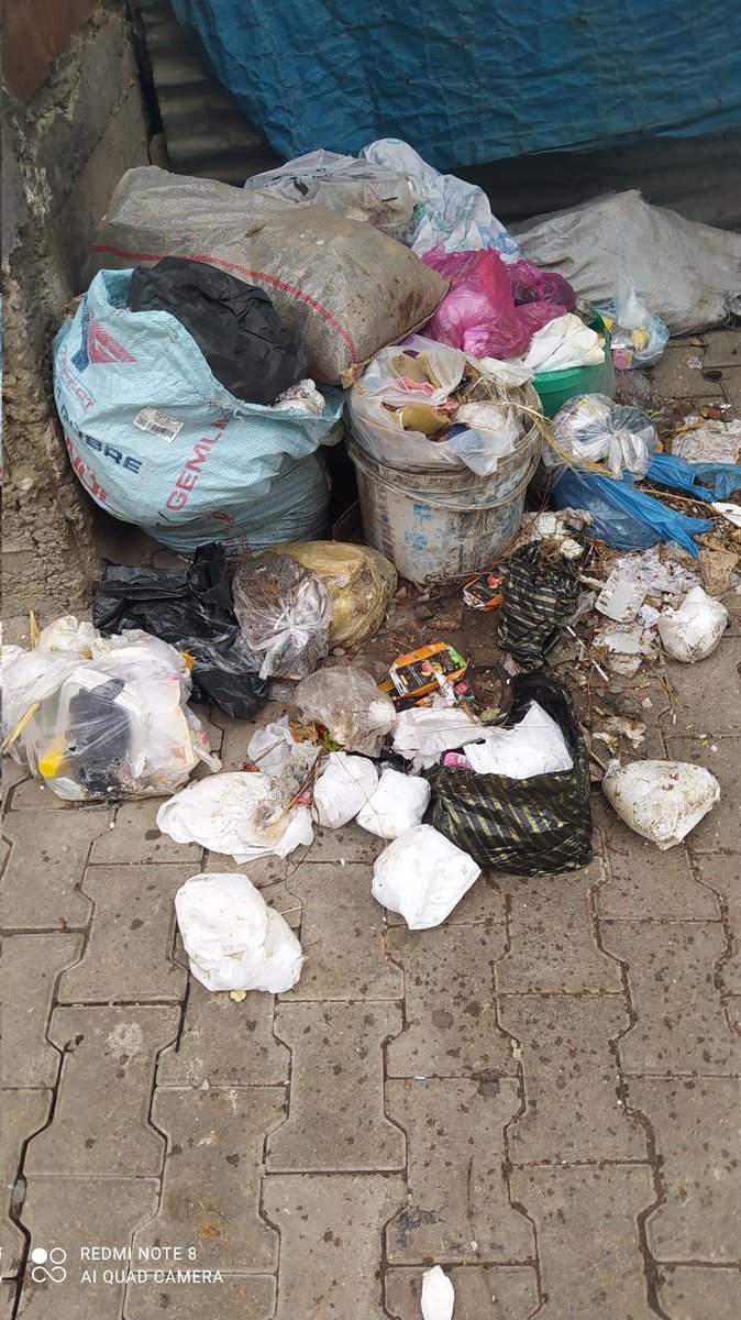 Depremden sonra belediye çöplerimizi kaldırmıyor alt katdayim kokusundan dışarı çıkamıyoruz