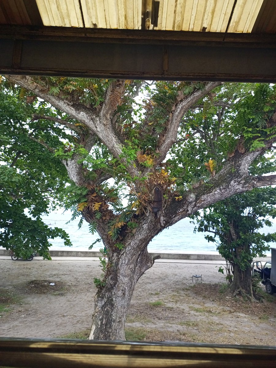 Day 1. Feels relaxing cause it's near the sea