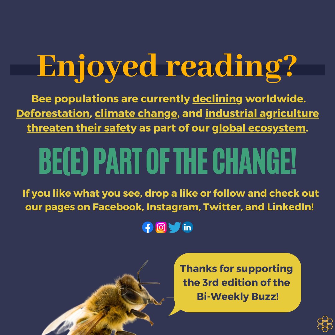 quinbeeproject's tweet photo. Headlines about bee conservation often don't make the front pages of the news. In this bi-weekly report, the plight of the pollinators is spotlighted to raise awareness about their struggle worldwide. (4/4)

#savethebees #news #climatecrisis #nature https://t.co/KgZY9zVtsT