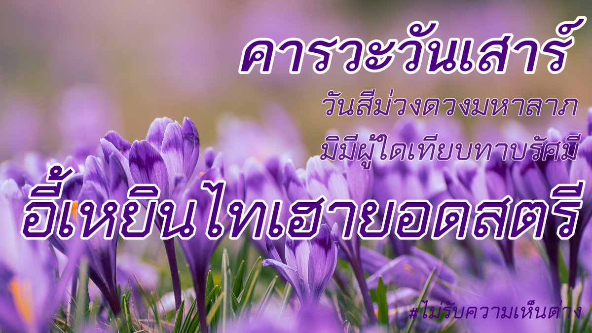 HH2_Furong's tweet photo. ฝูกงกงถวายพระพรอี้เหยินไทเฮาประจำวันเสาร์สีม่วง ขอจงทรงพระเจริญหมื่นปี หมื่นๆปี @HH2_TaiHao #ไม่รับความเห็นต่าง https://t.co/pmHxIKGL18