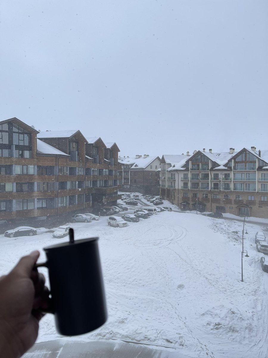 Zygfrid🌎 tweet media