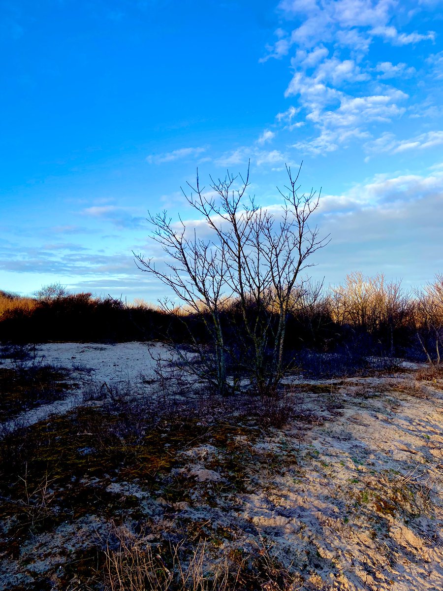 Silence
Inward perspectives 
Outward peaceful feeling
Of Love
Comforting Nature 
Bees and birds
Words unspoken 
Unnecessary 
In this daily bliss
Silence