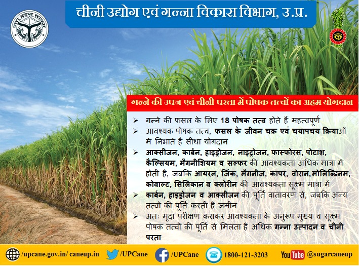"गन्ने की उपज एवं चीनी परता में पोषक तत्वों का अहम योगदान"
#upcane #caneproduction
<a href="/UPCane/">Cane Development UP</a> <a href="/UPGovt/">Government of UP</a> <a href="/CMOfficeUP/">CM Office, GoUP</a> <a href="/InfoDeptUP/">Information and Public Relations Department, UP</a>