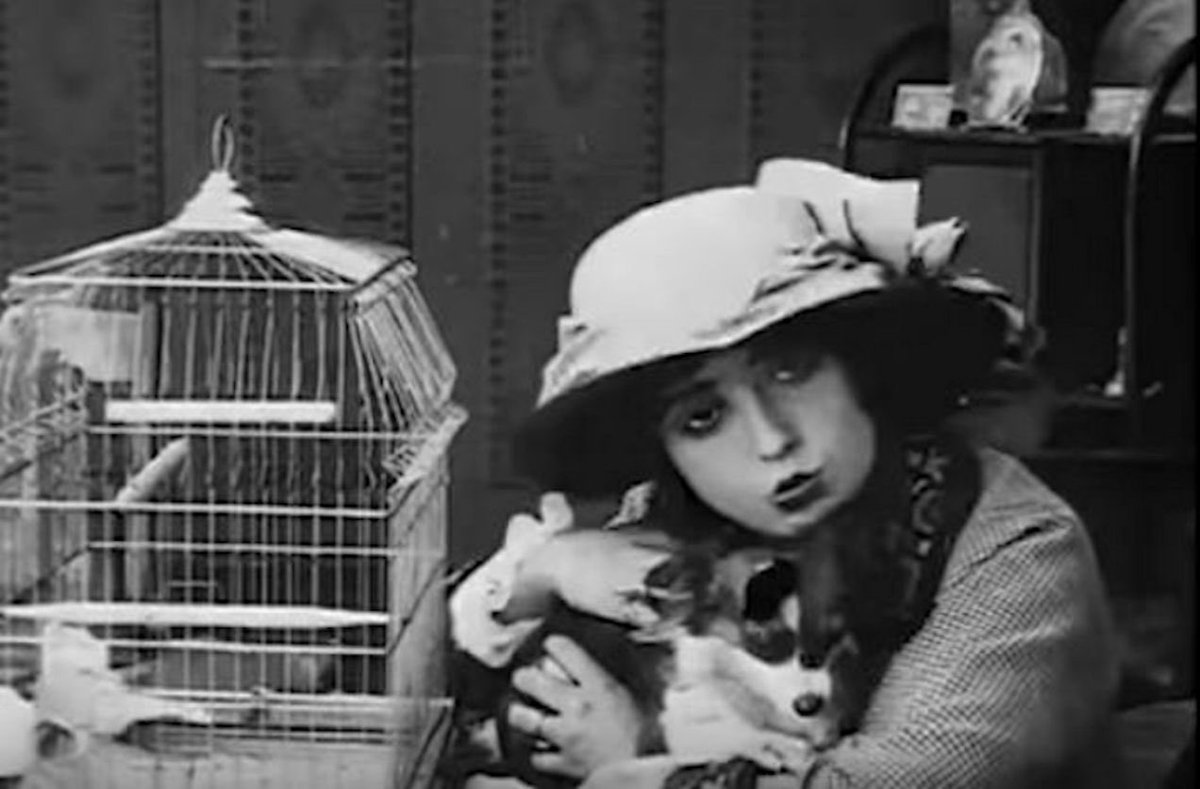 Next Saturday at @arkadin we will be showing a matinee event for “kids of all ages” of silent comedy shorts featuring furry and feathery friends. Noisemakers and percussion will be on hand for audience participation. eventbrite.com/e/silent-satur…