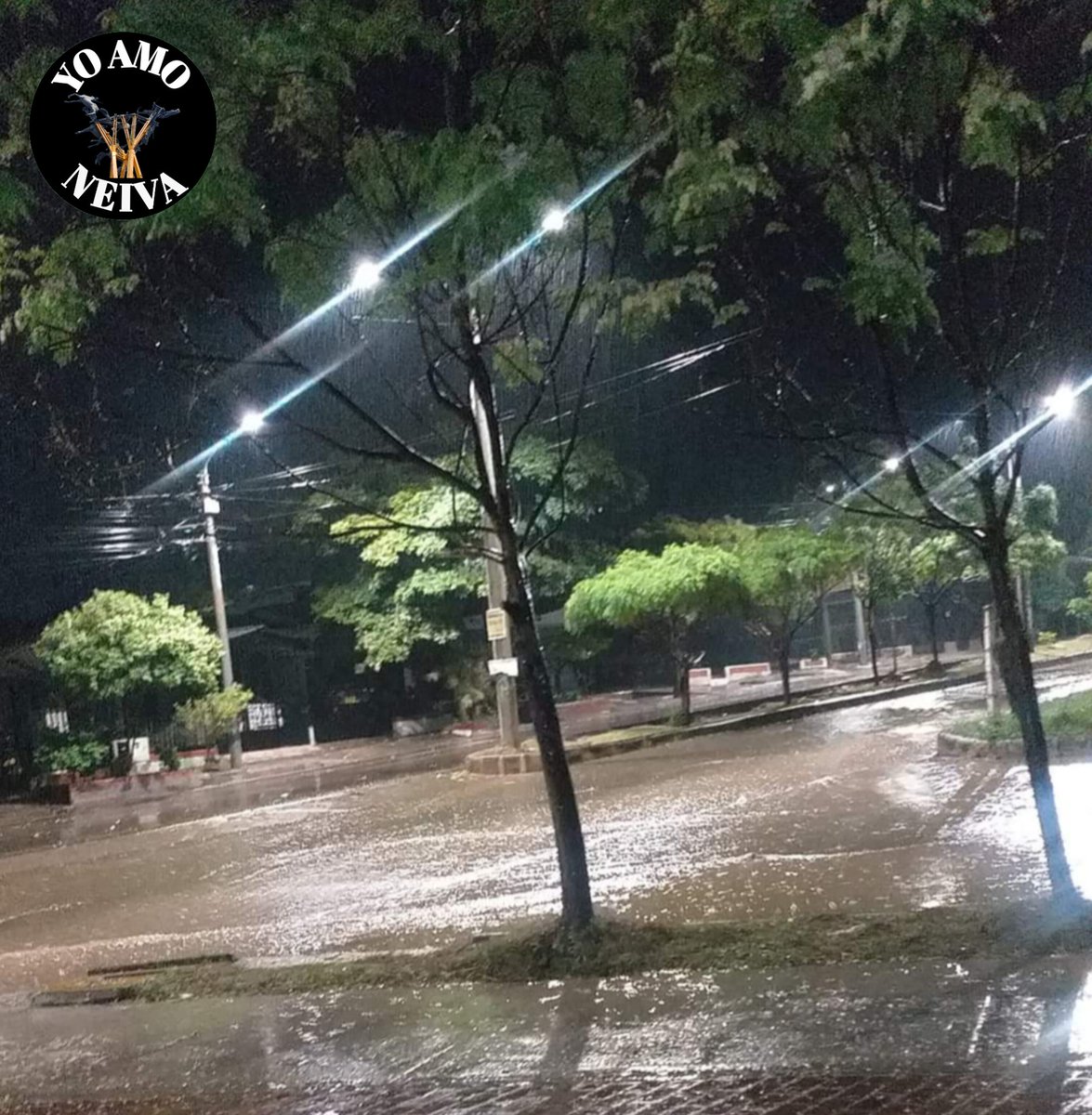 yoamoneivaof's tweet photo. Llueve en nuestra querida Neiva 😍🌧🌧 https://t.co/4btvHcUUGD