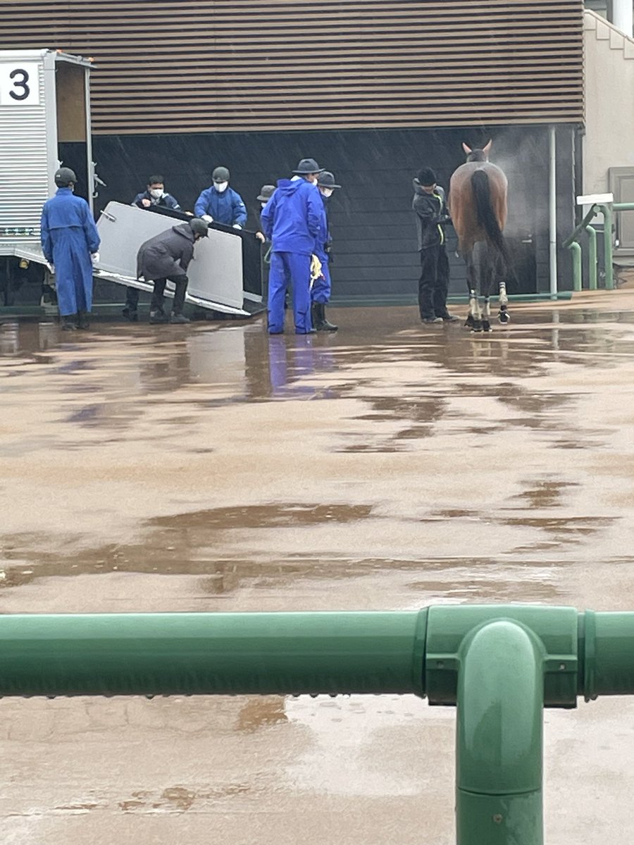 西谷騎手、エイシンクリックともに異常なし! 馬券はすっ飛びましたけど、騎手とお馬さんあっての競馬ですからね。良かったです。
