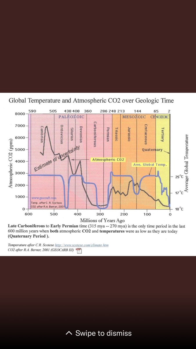 Concerned Citizen tweet media