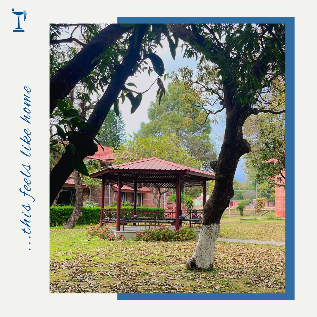 The_Doon_School's tweet photo. Nature is not a place to visit...It is Home. 🍃🏡
#TheDoonSchool #HomeAwayHome #BoardingSchool #CampusLife #Chandbagh https://t.co/bh9d6pY6Vn
