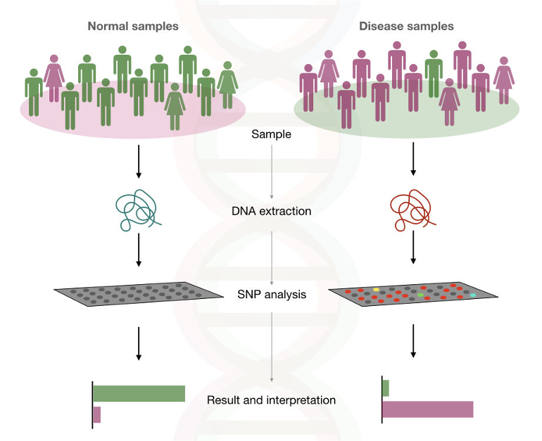 Epic with #genomics! Thanks <a href="/EpiSlim/">Lotfi Slim</a> and <a href="/Rabab_Mohammad/">Rabab Alomairy, Ph.D.</a> for this cool collaboration. 

Linear algebra comes again to rescue and addresses multiple precisions during genome-wide association studies. #GWAS

Do not oversolve!

Ask questions live on Mar 23 at 2pm CET.

#HPC #GTC23