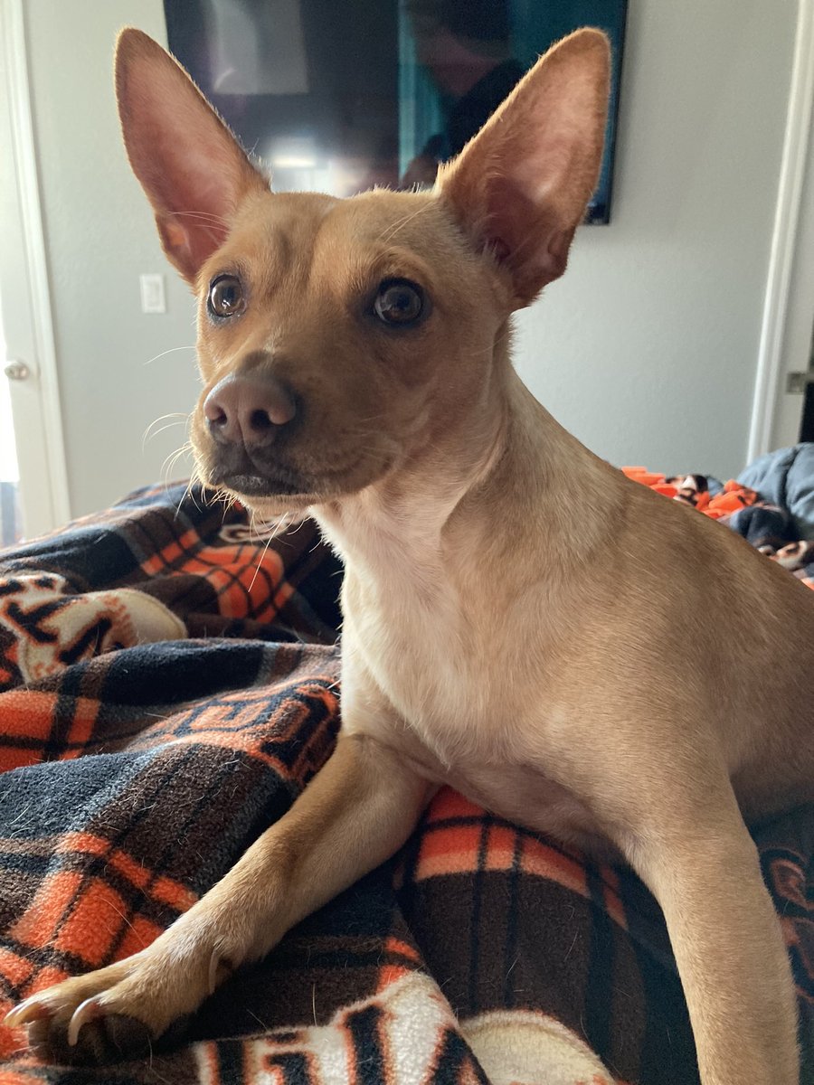 Don’t let her cuteness fool you. Her long ass nails almost just took out my right eye 😂😂😂 A spa treatment is in her near future! 💅🏼 I’m pretty sure I have a black eye 🤦🏻‍♀️💀🖤